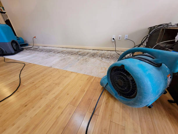 Professional Flood Damage Cleanup technician working in Sebastian, TX